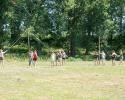 Teambuilding Beam Push